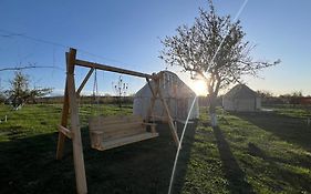 Bosogo Yurt Camp